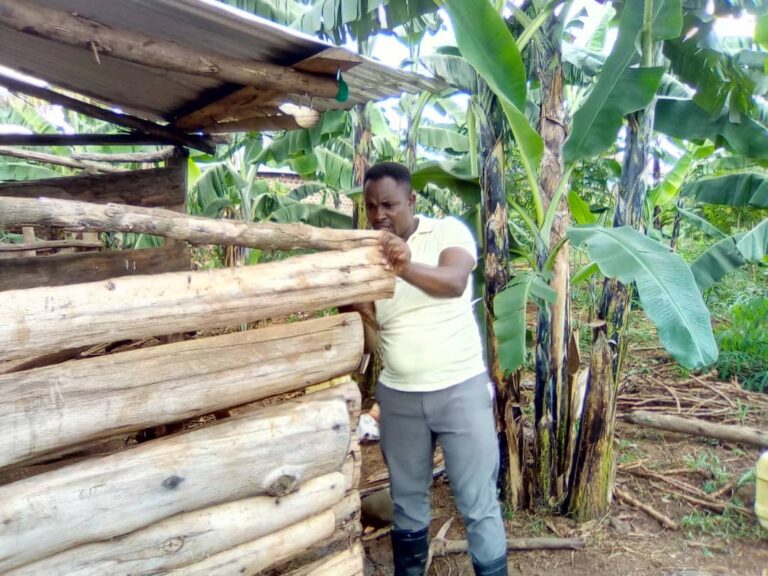 Ausbau von Freds Farm